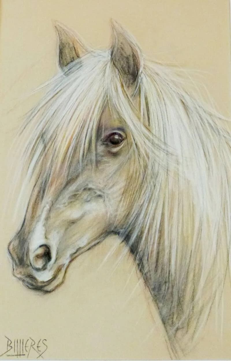 PORTRAIT CHEVAL, Pastell, von Clément Billières