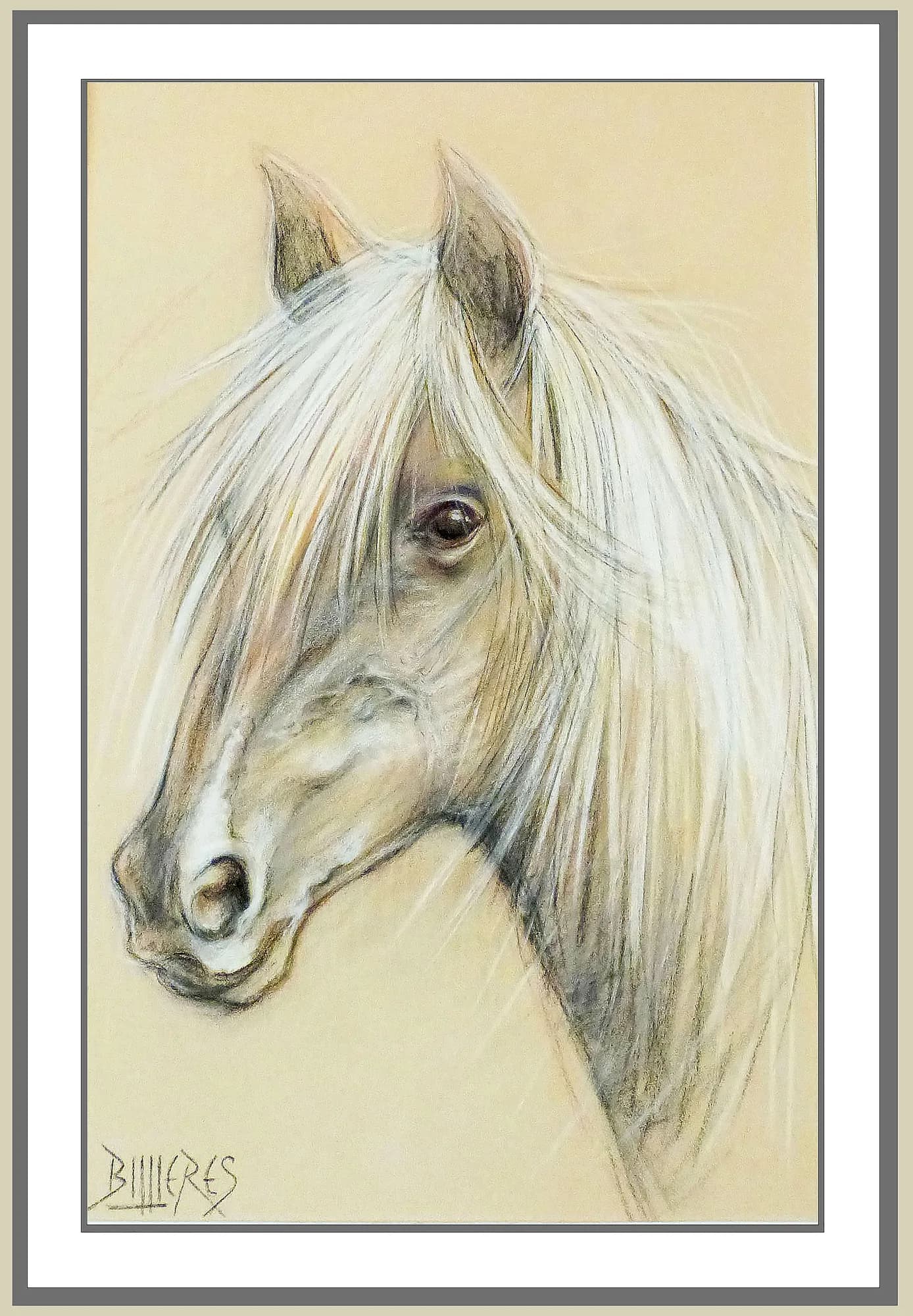 PORTRAIT CHEVAL