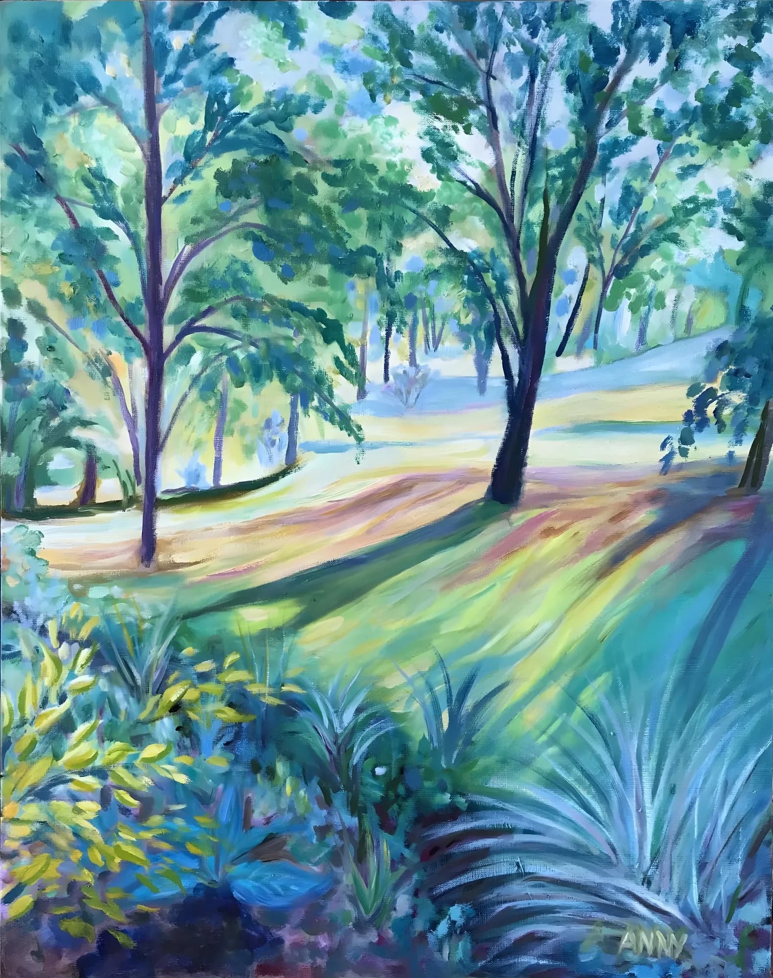 Lumière du matin
